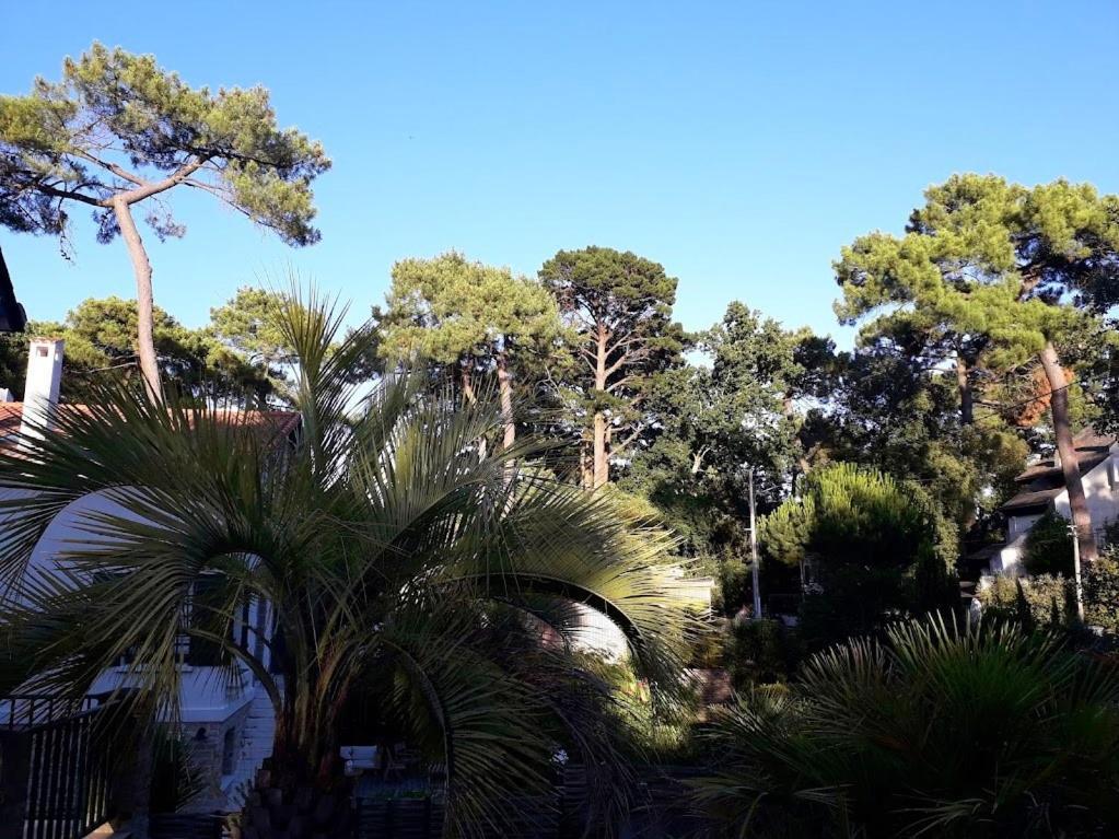 Belle De Dune La Baule-Escoublac Luaran gambar