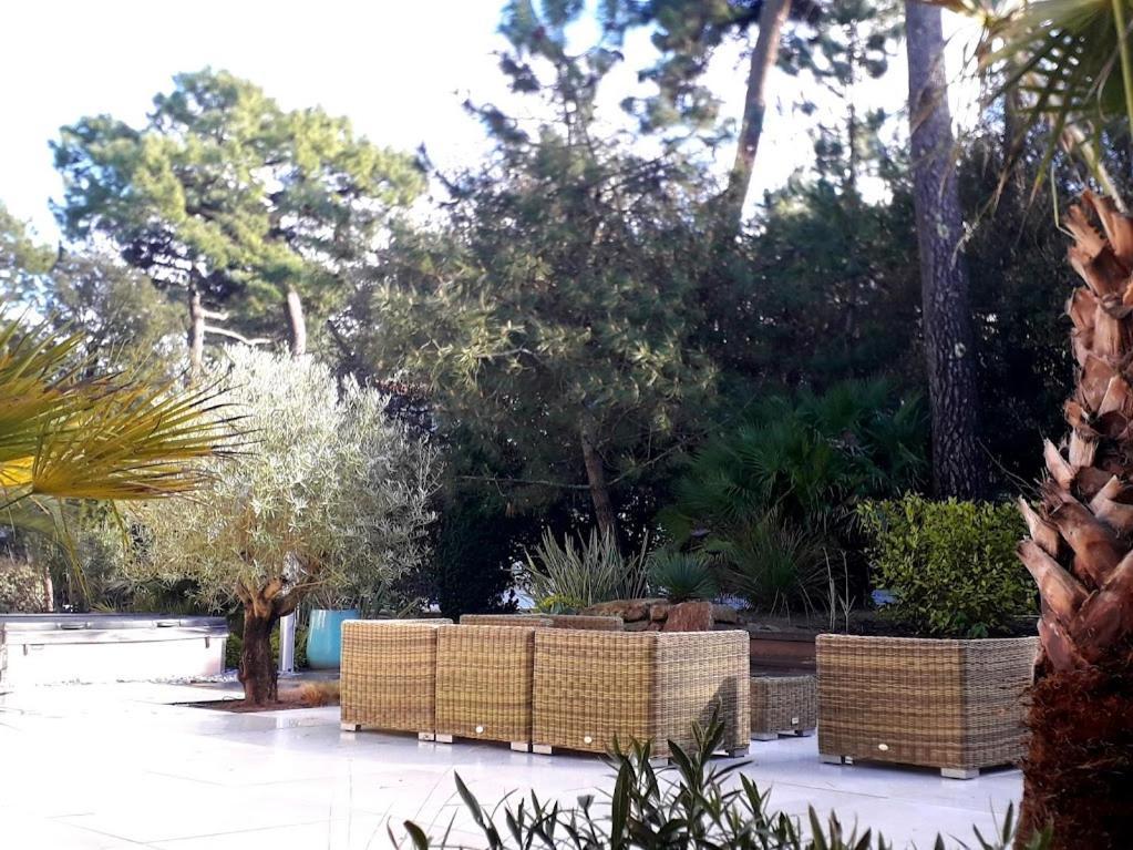 Belle De Dune La Baule-Escoublac Luaran gambar